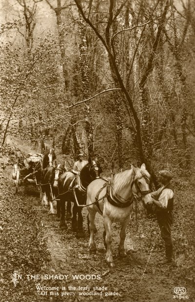 En los Bosques Sombríos, finales del siglo XIX o principios del siglo XX de Unbekannt