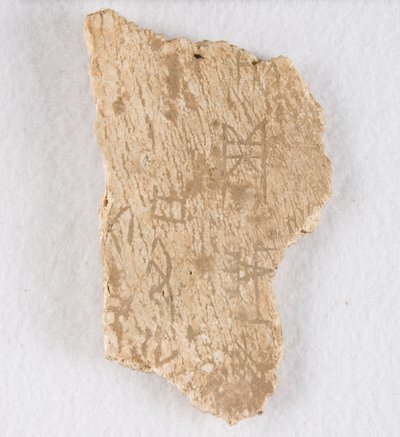 Fragmento de hueso inscrito, hueso oracular, dinastía Shang tardía de Unbekannt