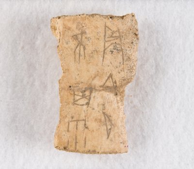 Fragmento de hueso inscrito oráculo, dinastía Shang tardía, ca. 1300-1050 a.C. de Unbekannt