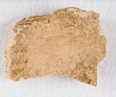 Fragmento de hueso inscrito, hueso oráculo, dinastía Shang tardía, ca. 1300-1050 a.C. de Unbekannt