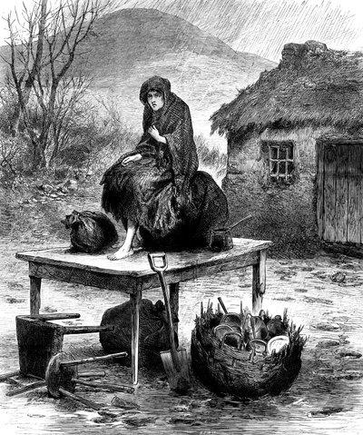 Niña campesina irlandesa cuidando las últimas posesiones de la familia, 1886 de Unbekannt