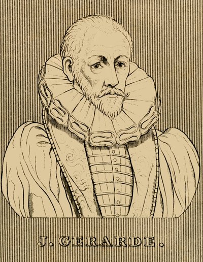 J. Gerarde, c1545-1612, 1830 de Unbekannt