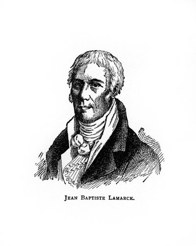 Jean-Baptiste Lamarck, naturalista francés, siglo XX de Unbekannt