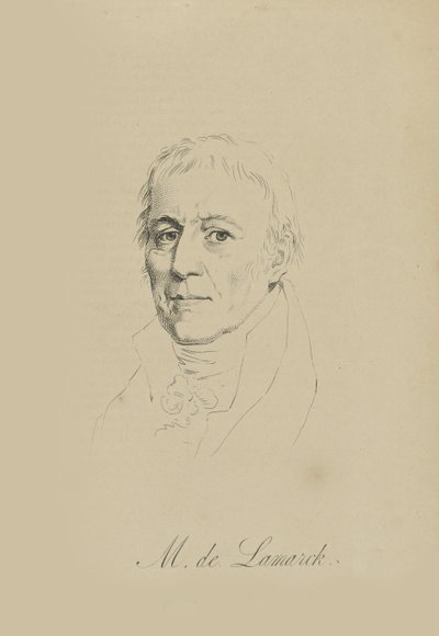 Jean-Baptiste Pierre Antoine de Monet, Caballero de Lamarck de Unbekannt