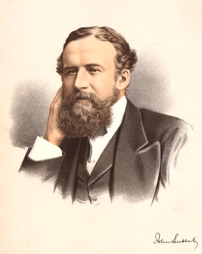 John Lubbock, primer Barón Avebury, banquero, arqueólogo, naturalista y político inglés, c. 1880 de Unbekannt
