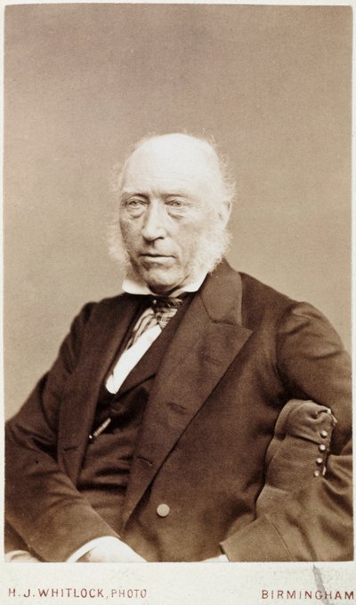 John Phillips, geólogo inglés, c 1870 de Unbekannt