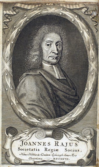 John Ray (Wray), naturalista inglés, c 1700 de Unbekannt