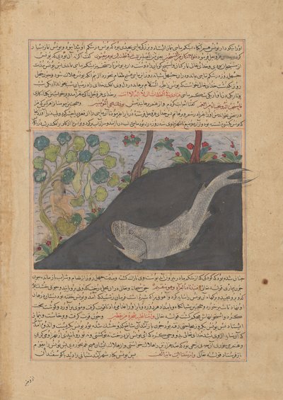 Jonás y la ballena, folio de un Majma