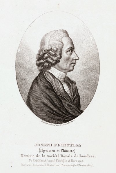 Joseph Priestley, teólogo y químico angloamericano, c 1780 de Unbekannt