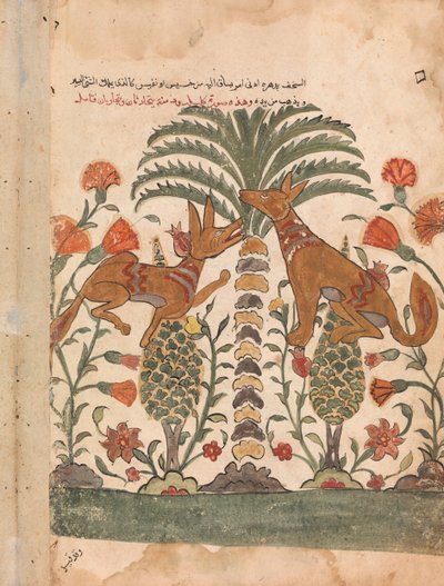 Kalila reprendiendo a Dimna, Folio de un Kalila wa Dimna, siglo XVIII de Unbekannt