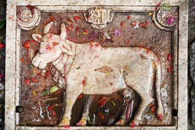 Vaca sagrada Kamdhenu, Shesh Narayana, Nepal de Unbekannt
