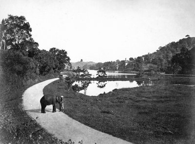 Lago Kandy, Kandy, Sri Lanka, c1910s de Unbekannt