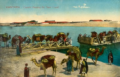 Kantara - Camellos pasando el Canal de Suez, c1918-c1939 de Unbekannt