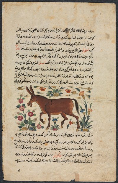 Khar Ass, de un Nuzhat-nama-yi alai Excelente Libro de Consejos..., 1400s de Unbekannt