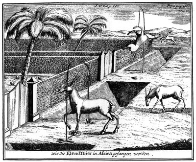 Khoikhois atrapando antílopes, Sudáfrica, siglo XVIII, 1931 de Unbekannt