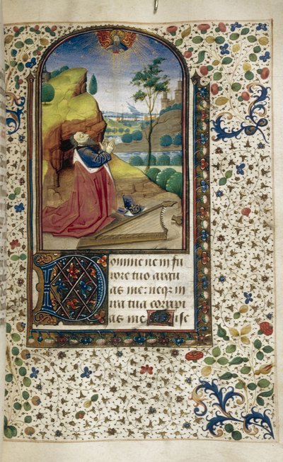 Rey David en oración Libro de Horas, 1450-1499 de Unbekannt
