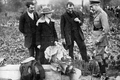El rey Jorge V admirando los huertos en Clapham Common, Londres, c1910s-c1920s 1936 de Unbekannt