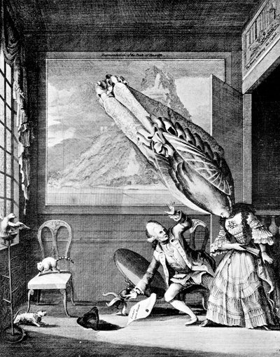 La Francoise en Londres: La dama francesa en Londres o El tocado del año 1771 de Unbekannt