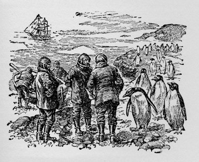 Aterrizado en una pequeña isla habitada por miríadas de pingüinos de Unbekannt