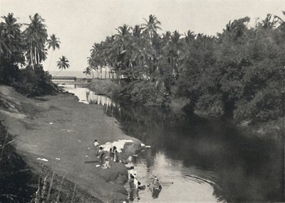 Paisaje en el río cerca de Dehiwala, entre Colombo y Mount Lavinia, 1926 de Unbekannt