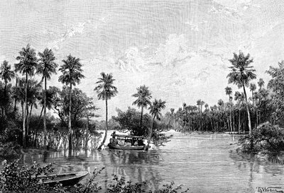 Las Palmes Lagunas, cerca de la desembocadura del Pilcomayo, 1895 de Unbekannt