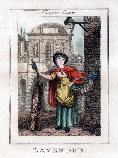 Lavanda, Temple Bar, Londres, 1805 de Unbekannt
