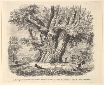 El castaño de Neuve-Celle, a orillas del lago de Ginebra, después de Daubigny de Unbekannt