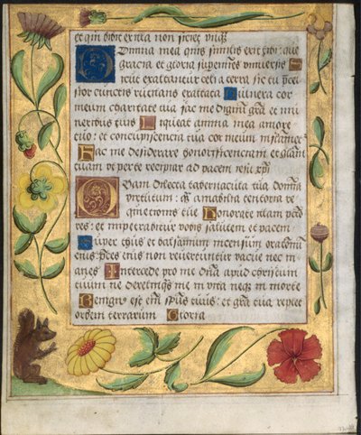 Hoja de un Salterio y Libro de Oraciones: Borde ornamental con flores y ardilla (verso) de Unbekannt