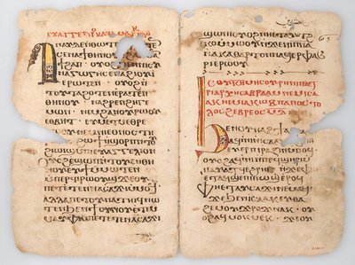 Hojas de un manuscrito copto, copto, siglo VI-XIV de Unbekannt