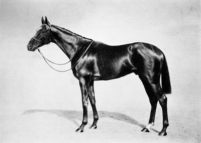 Lemberg, 1911 de Unbekannt
