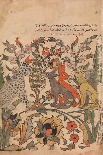 Leopardo Llevando la Orden del León a los Jueces Compañeros, Folio 51 recto de un Kalila wa Dimna, siglo XVIII de Unbekannt
