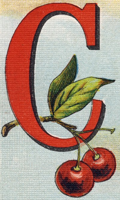Letra C: cerezas. Grabado en "Alphabet de ma petite fille". Bernardin-Bechet y Fils, libreros-editores, París, alrededor de 1895. Álbum inquebrantable sobre lienzo. Bibliothèque des Bébés. 12 páginas. Álbum que contiene un método de lectura y un abecedario de Unbekannt