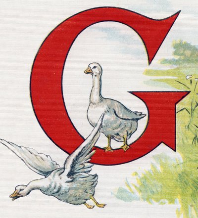 Letra G: Buenos patos. Grabado en "ABC L