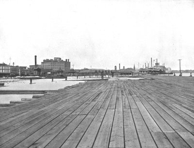 Muelle y desembarco de barcos de vapor, Nueva Orleans, Luisiana, EE.UU., c1900 de Unbekannt