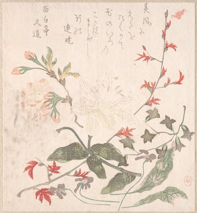 Lirio, Violetas, Flores de Cerezo, Forsythia y una Rama de Arce Rojo, siglos XVIII-XIX de Unbekannt