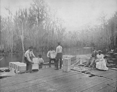 Cargando Naranjas en el Río Ocklawaha, Florida, c1897 de Unbekannt