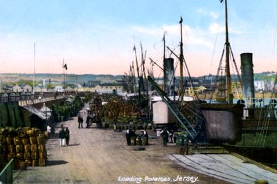 Cargando papas, Jersey, 1908 de Unbekannt