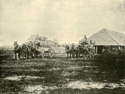 Cargando lana, Estación Warrawooh, Wimmera, 1901 de Unbekannt