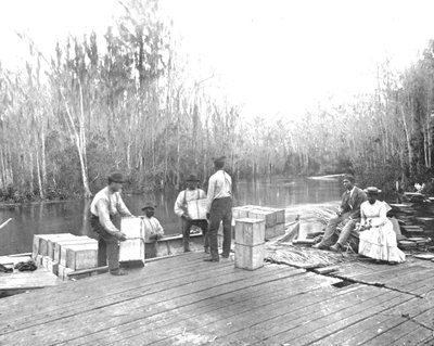 Cargando naranjas en el río Ocklawaha, Florida, EE.UU., c1900 de Unbekannt