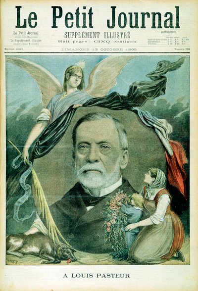 Louis Pasteur, químico francés, 1895 de Unbekannt