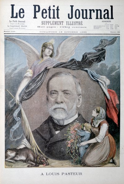 Louis Pasteur, químico francés, 1895 de Unbekannt