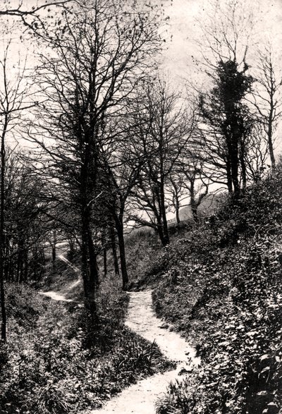 Lovers Lane, Fairlight, Hastings, Sussex de Unbekannt