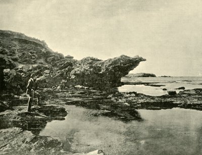 Marea baja, Shelly Beach, Warrnambool, 1901 de Unbekannt