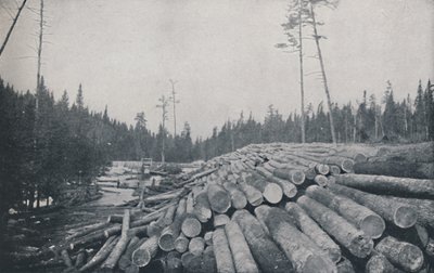 Explotación forestal, 1924 de Unbekannt