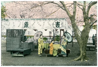 Puesto de comida en un parque público, Japón, 1904 de Unbekannt