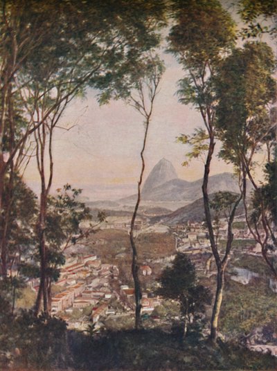 Bosques exuberantes en la colina de Santa Teresa mirando hacia los techos de Lapa, c1935 de Unbekannt
