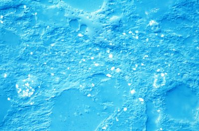 Minerales, LM lutita de Unbekannt