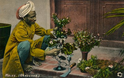 Jardinero Malee de Unbekannt