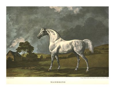Mambrino, c1779 de Unbekannt