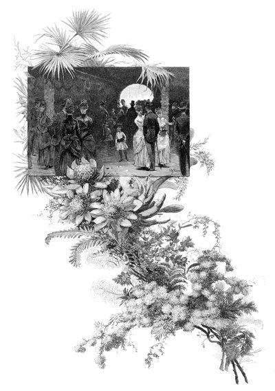 Exposición de flores silvestres de Manly, Sídney, Nueva Gales del Sur, Australia, 1886 de Unbekannt